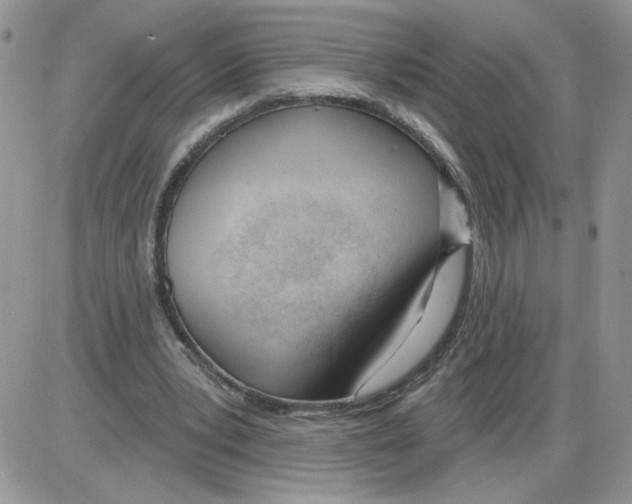 X0000086070391200704202131