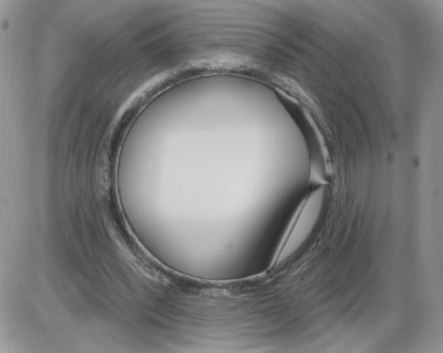 X0000086070392200704202131