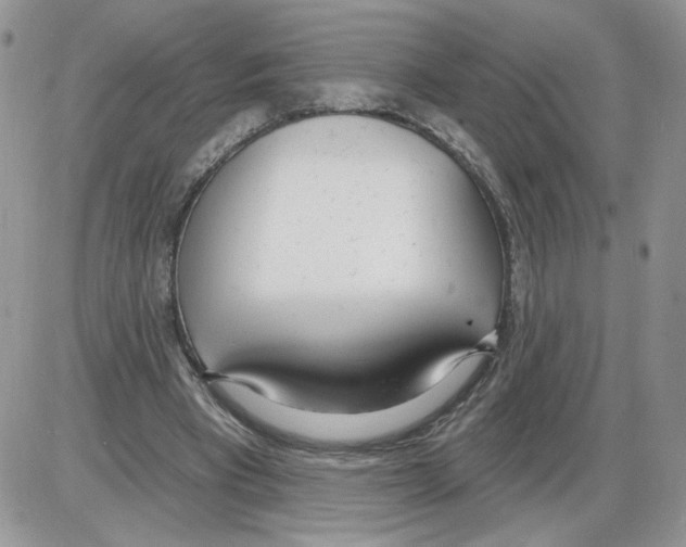 X0000086070393200704202131