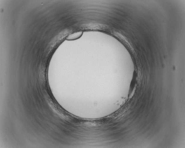 X0000086070394200704202131