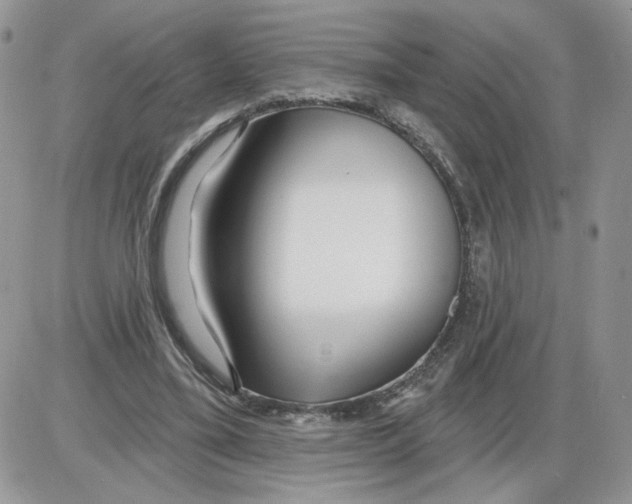 X0000086070395200704202131