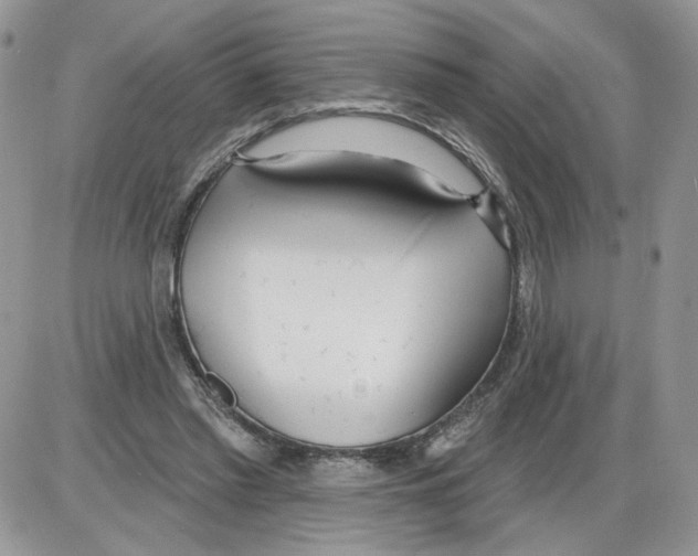 X0000086070397200704202131