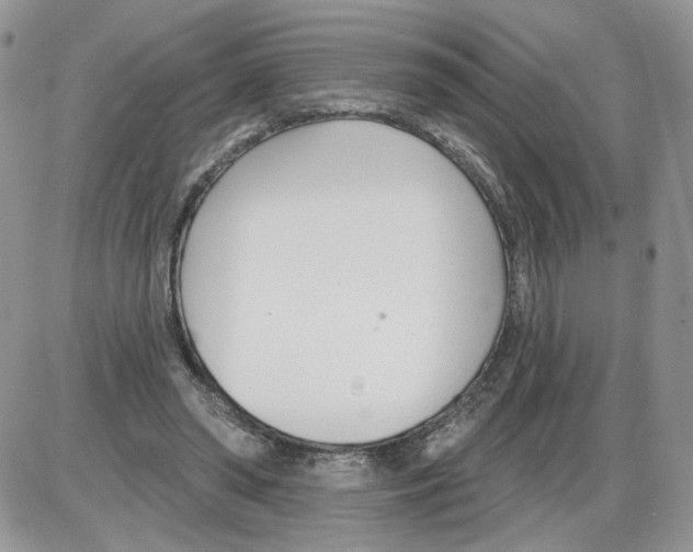 X0000086070398200704202131