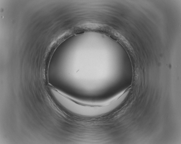 X0000086070399200704202131