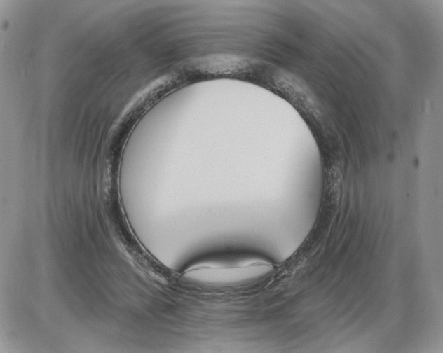 X0000086070400200704202131