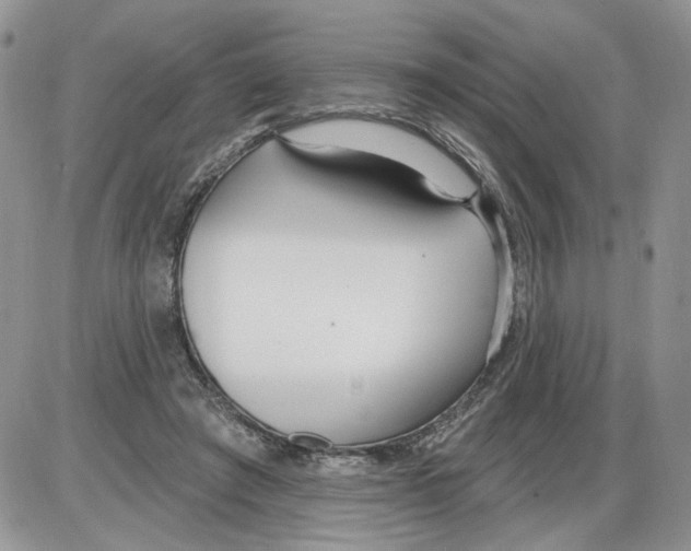 X0000086070401200704202131