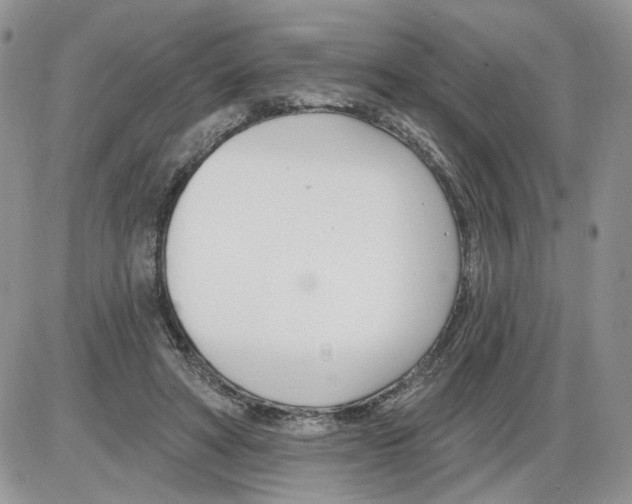 X0000086070402200704202131