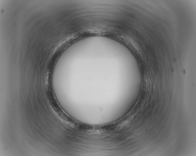 X0000086070404200704202131