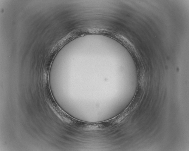 X0000086070405200704202131