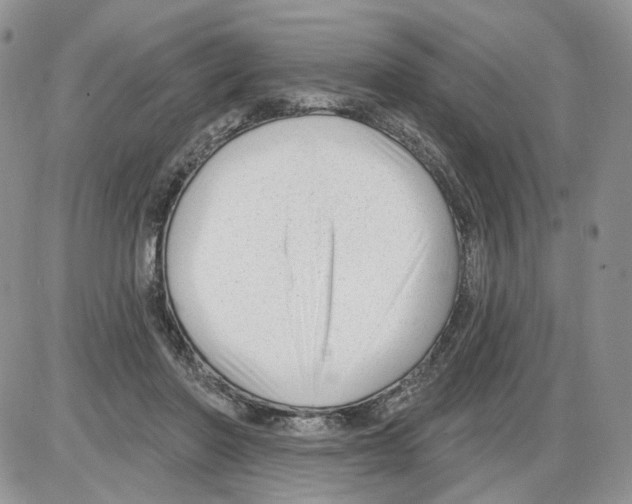 X0000086070406200704202131