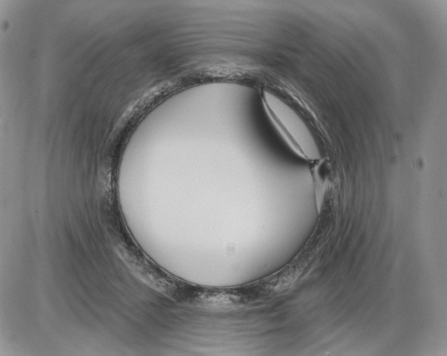 X0000086070407200704202131