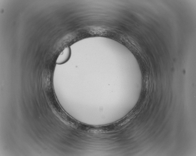 X0000086070408200704202131