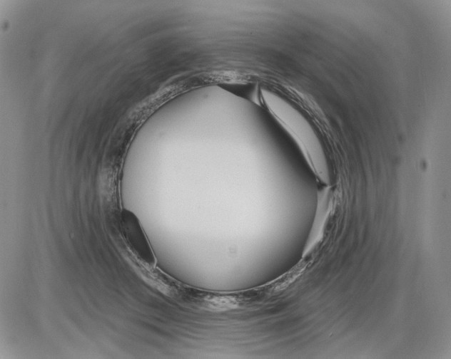 X0000086070409200704202131