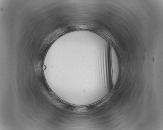 X0000086070410200704202131