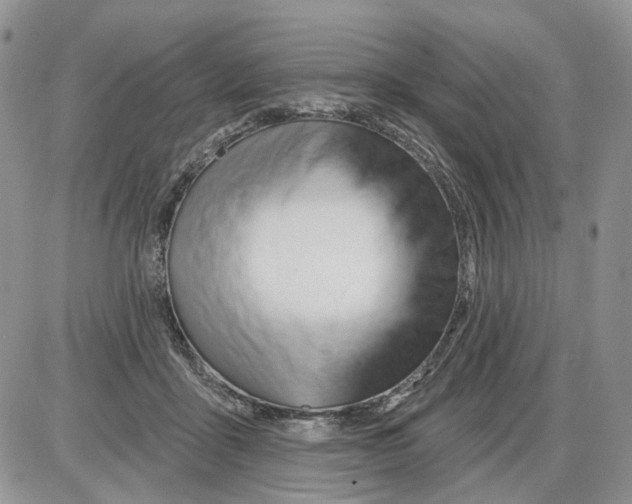 X0000086070411200704202131