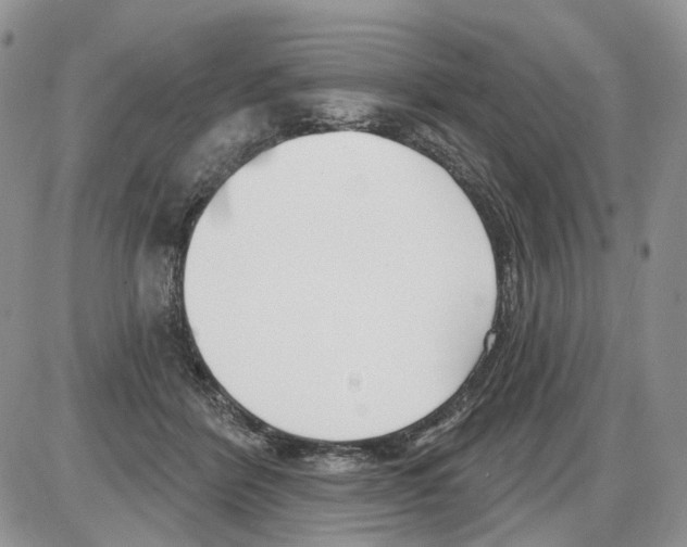 X0000086070412200704202131