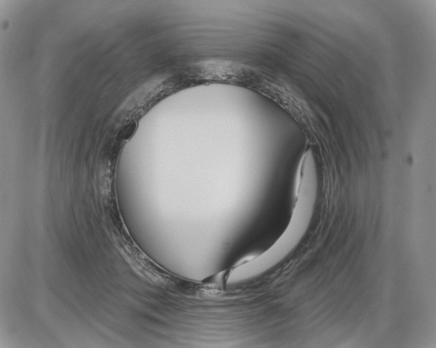 X0000086070413200704202131