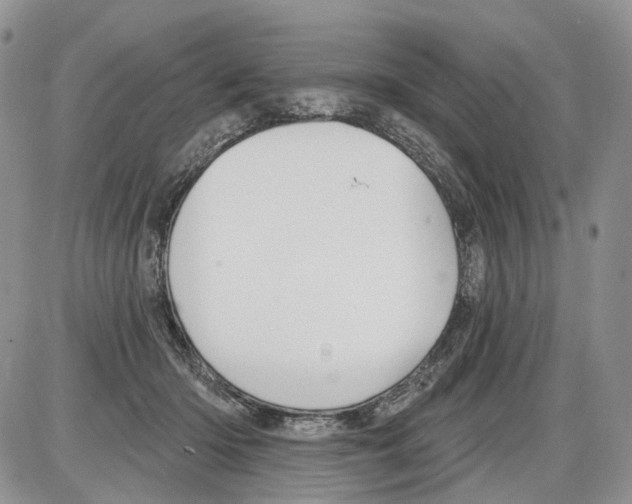 X0000086070414200704202131