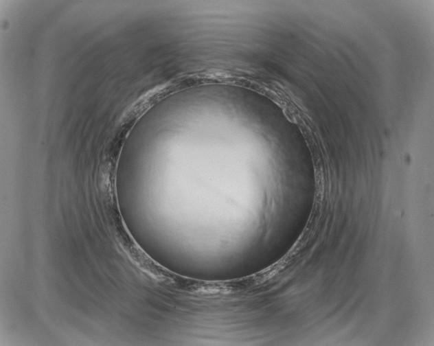 X0000086070415200704202131