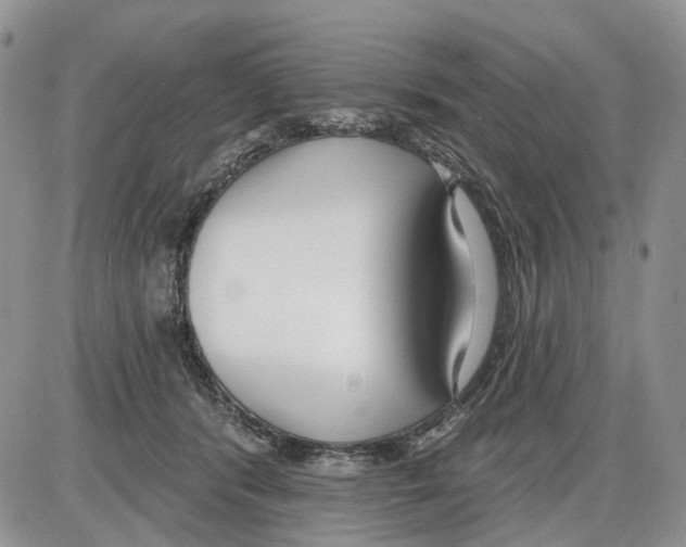 X0000086070416200704202131