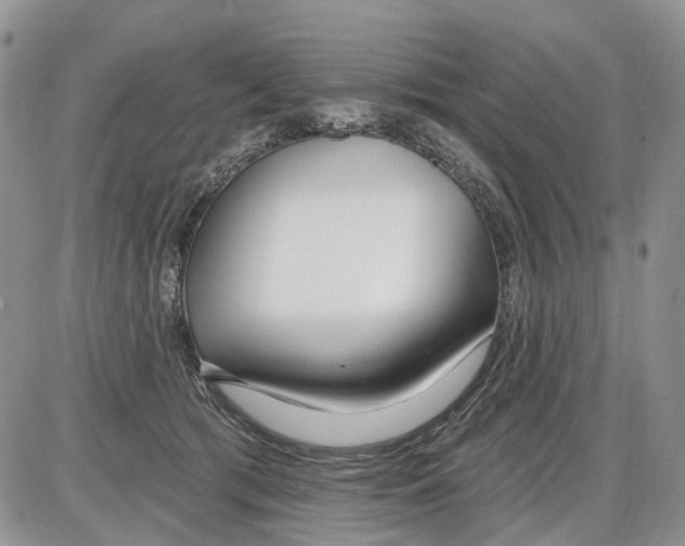 X0000086070417200704202131