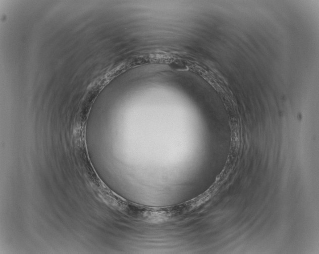 X0000086070419200704202131