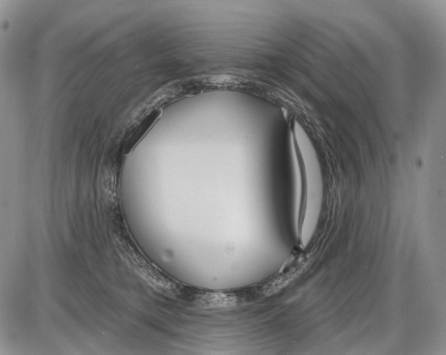 X0000086070421200704202131