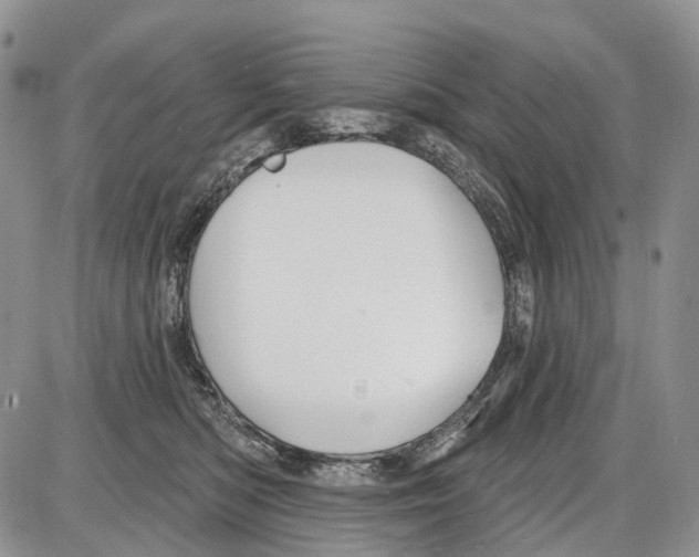 X0000086070422200704202131