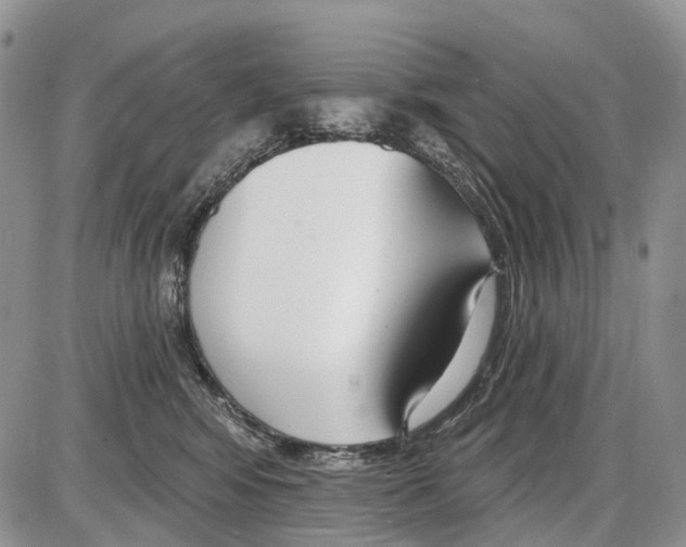 X0000086070424200704202131