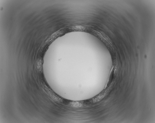 X0000086070425200704202131