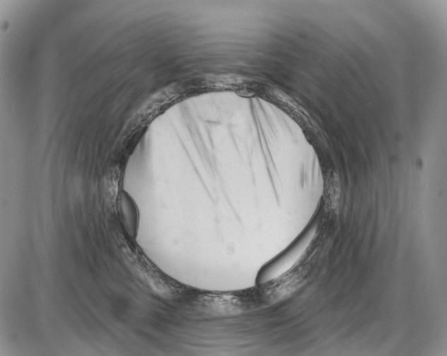 X0000086070427200704202131