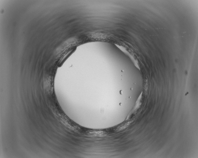 X0000086070428200704202131