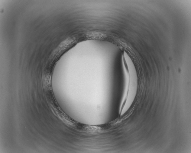 X0000086070429200704202131