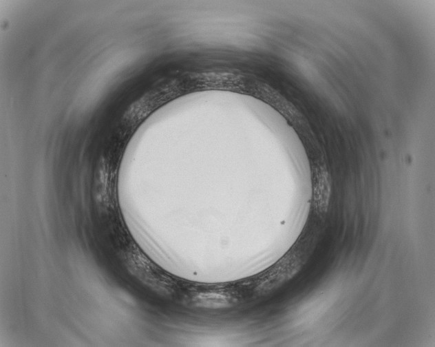 X0000086070430200704202131