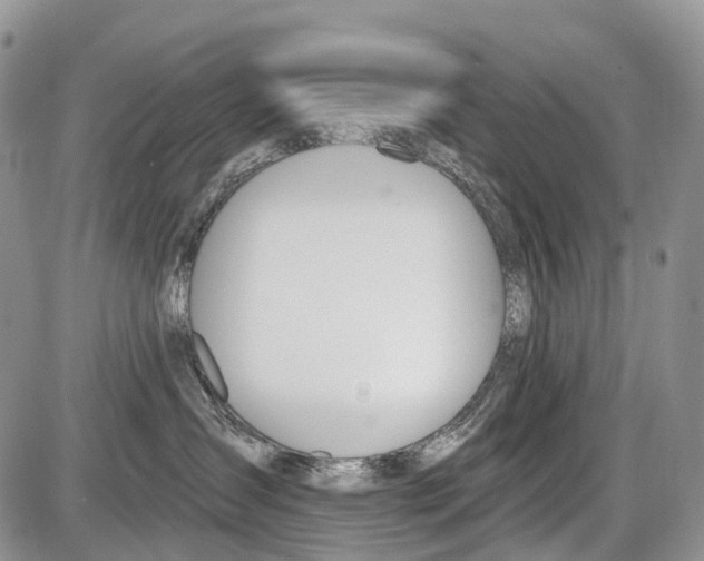 X0000086070431200704202131