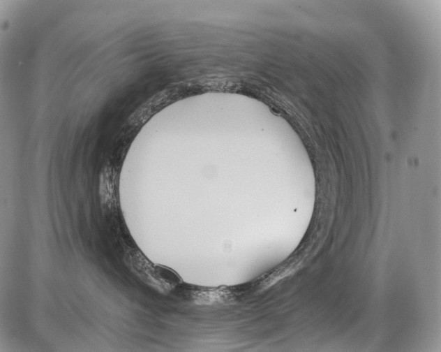 X0000086070432200704202131