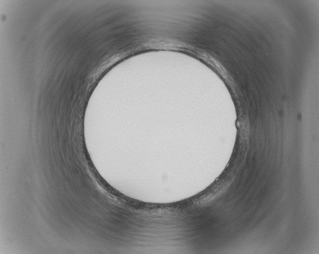 X0000086070433200704202130