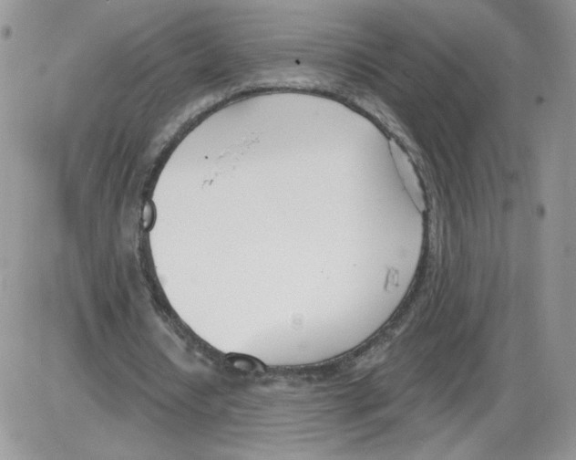 X0000086070434200704202130