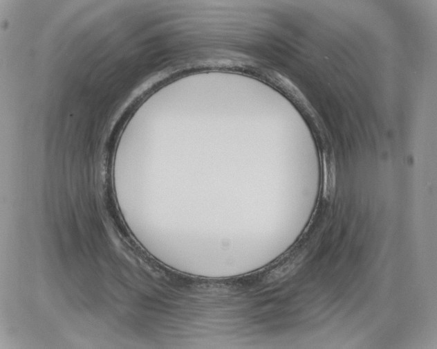 X0000086070435200704202130