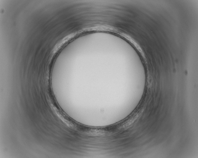 X0000086070437200704202130