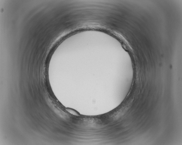 X0000086070439200704202130