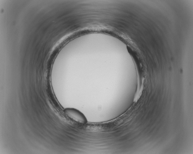 X0000086070440200704202130