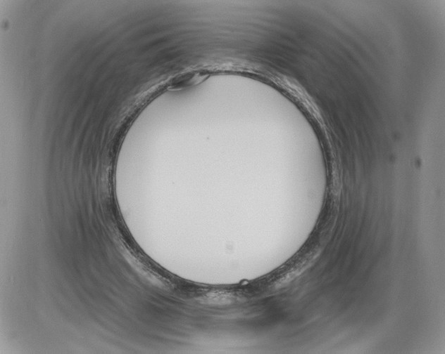 X0000086070441200704202130