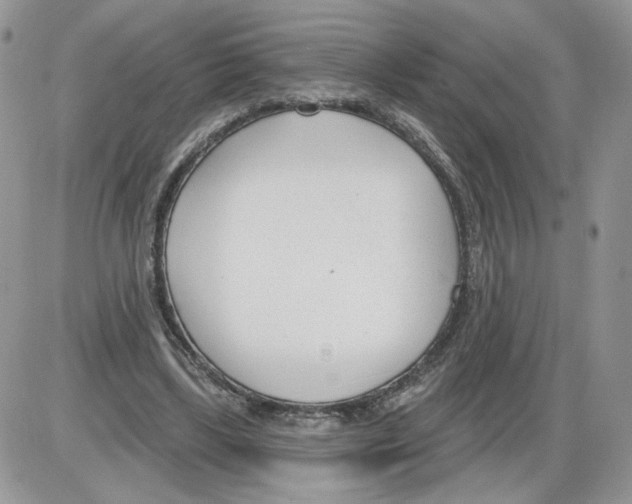 X0000086070443200704202130