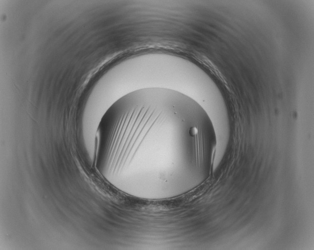 X0000086070444200704202130