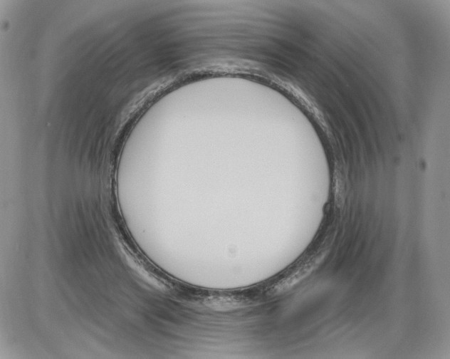 X0000086070445200704202130