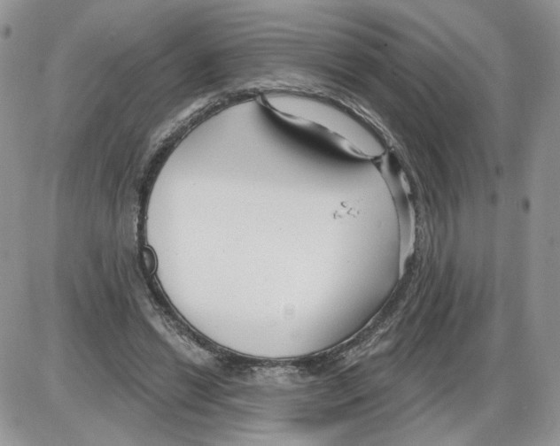 X0000086070446200704202130