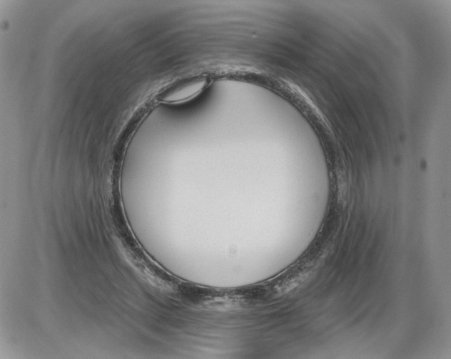 X0000086070447200704202130