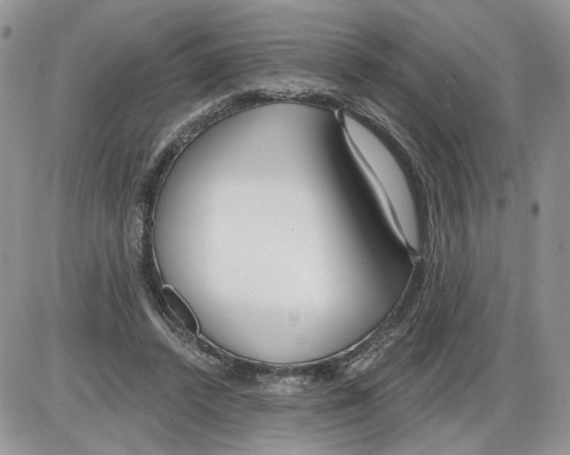 X0000086070448200704202130