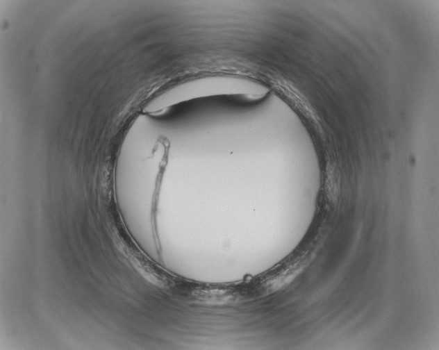 X0000086070449200704202130